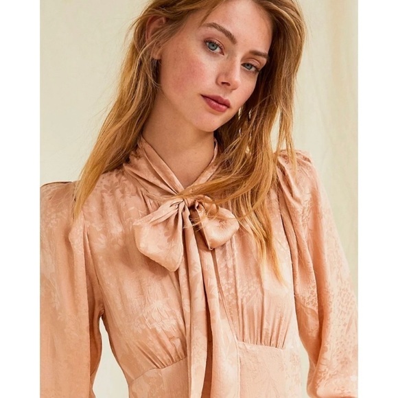 Aritzia Silk Le Fou Wilfred Mambo Dress‎ in Stockings Beige 2 - Picture 5 of 12